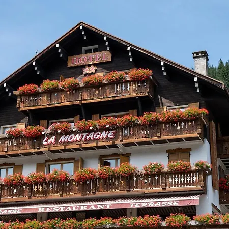 Hotel La Montagne 2*