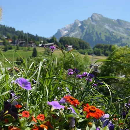 Hotel La Montagne Hotel La Clusaz